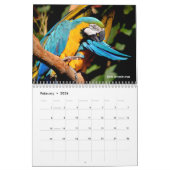 さまざまなパロットカレンダー カレンダー (2月 2026)