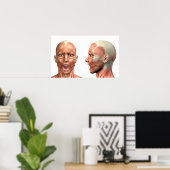 さまざまなポーズの男性の頭筋の解剖学 ポスター (ホームオフィス)