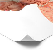 さまざまなポーズの男性の頭筋の解剖学 ポスター (角)