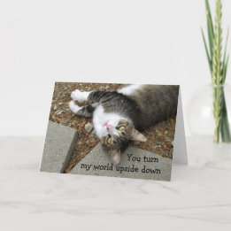 . .さまざまなワールドキャットのバレンタインデイカード シーズンカード