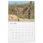 さまざまな動物カレンダー カレンダー (3月 2026)