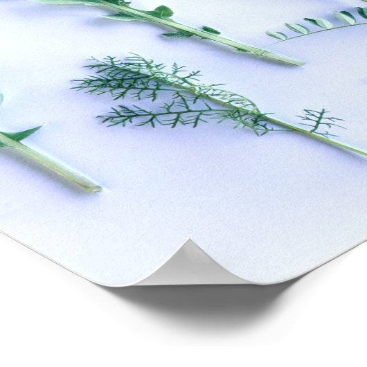 さまざまな形状の緑葉の自然感じ ポスター (角)