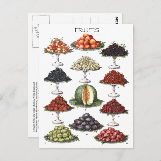 さまざまな果実を皿に盛ること ポストカード (正面/裏面)