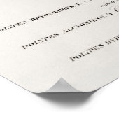 さまざまな種類のサンゴ ポスター (角)