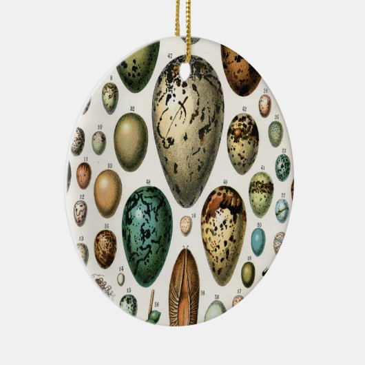 さまざまな種類の卵科学イラストレーション セラミックオーナメント (右)