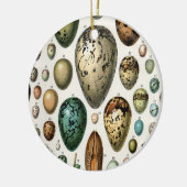 さまざまな種類の卵科学イラストレーション セラミックオーナメント (左)