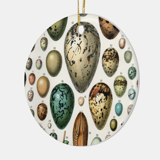 さまざまな種類の卵科学イラストレーション セラミックオーナメント (左)