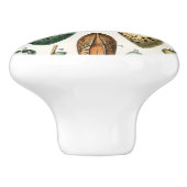 さまざまな種類の卵科学イラストレーション セラミックノブ (側面)