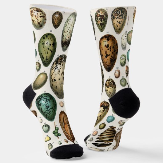 さまざまな種類の卵科学イラストレーション ソックス (傾斜あり)