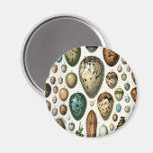 さまざまな種類の卵科学イラストレーション マグネット (正面/裏面)