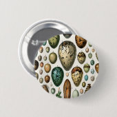 さまざまな種類の卵科学イラストレーション 缶バッジ (正面&裏面)