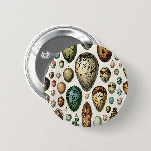 さまざまな種類の卵科学イラストレーション 缶バッジ (正面&裏面)
