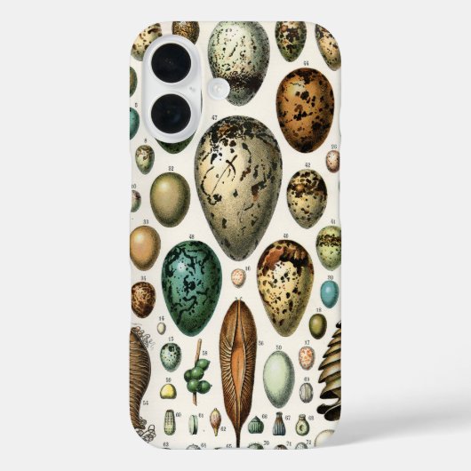さまざまな種類の卵科学イラストレーション Case-Mate iPhoneケース (裏面)