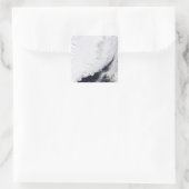 さまざまな種類の海氷 スクエアシール (バッグ)