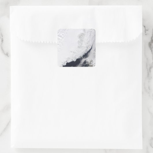 さまざまな種類の海氷 スクエアシール (バッグ)