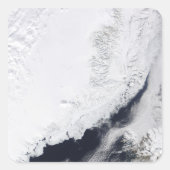 さまざまな種類の海氷 スクエアシール (正面)