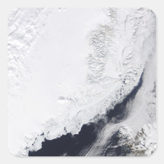 さまざまな種類の海氷 スクエアシール (正面)