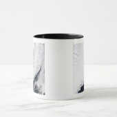 さまざまな種類の海氷 マグカップ (中央)