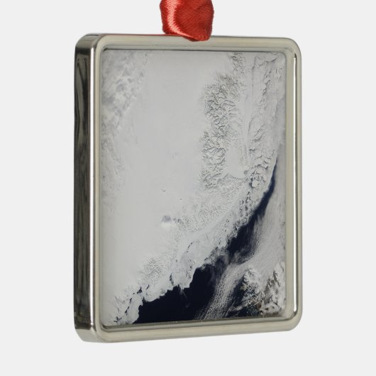 さまざまな種類の海氷 メタルオーナメント (右)