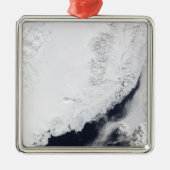 さまざまな種類の海氷 メタルオーナメント (正面)