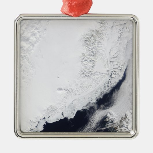 さまざまな種類の海氷 メタルオーナメント (正面)