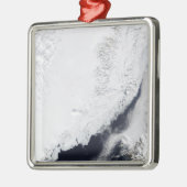 さまざまな種類の海氷 メタルオーナメント (左)