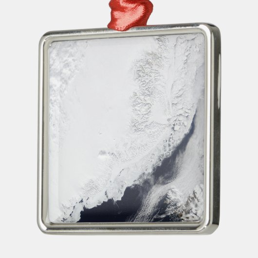 さまざまな種類の海氷 メタルオーナメント (左)