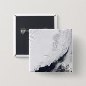 さまざまな種類の海氷 缶バッジ (正面&裏面)