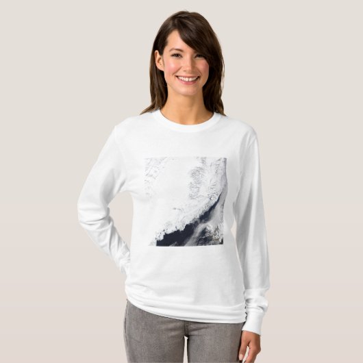 さまざまな種類の海氷 Tシャツ (正面フル)