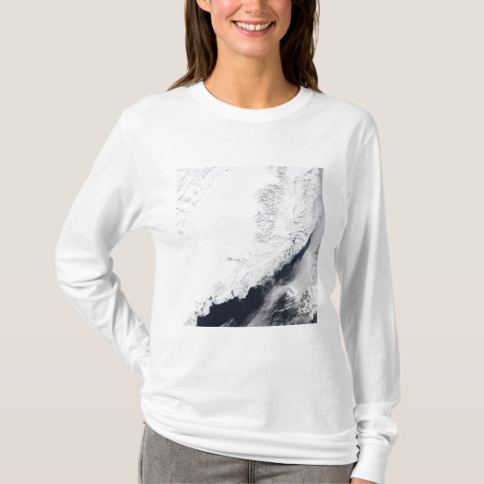 さまざまな種類の海氷 Tシャツ (正面)