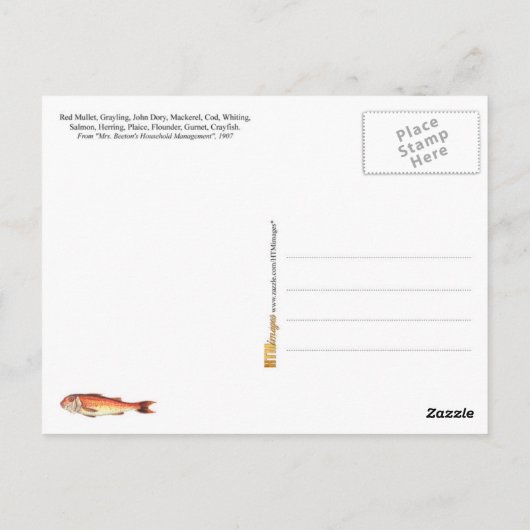 さまざまな種類の魚の図鑑 ポストカード (裏面)