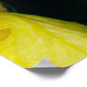 さまざまな色の花びら ポスター (角)