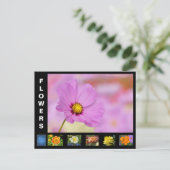 さまざまな花 シーズンポストカード (スタンド正面)