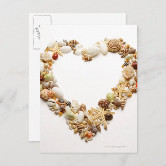 さまざまな貝殻の型枠ハート形状 ポストカード (正面/裏面)