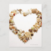 さまざまな貝殻の型枠ハート形状 ポストカード (正面)