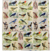 さまざまな鳥 シャワーカーテン (正面)