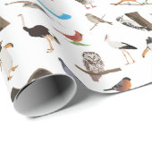 さまざまな鳥 ラッピングペーパー (ロールコーナー)