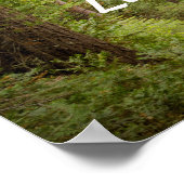 さまよい人ばかりではない失った ポスター (角)