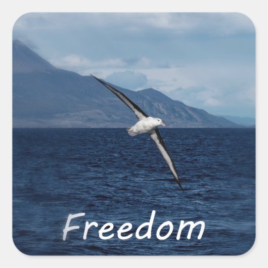 さまよい海 スクエアシール (正面)