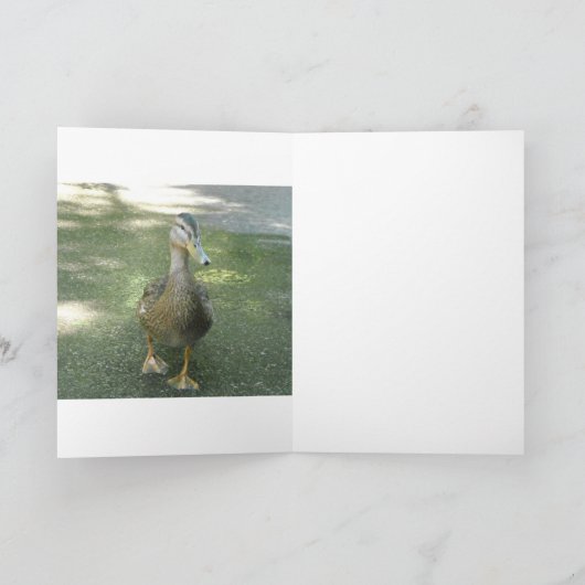 さまようアヒル カード (内部)