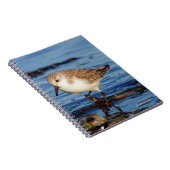 さまよう砂浜 ノートブック (右側)