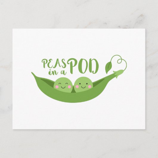 さやの中の豆 ポストカード (正面)
