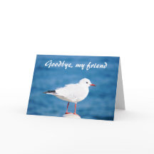 さようならカモメのSayonara Auf Wiedersehen Despedida