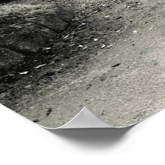 さようならゾウ、タイガー、ゼブラ ポスター (角)