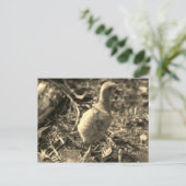 さようなら!- ポストカード (スタンド正面)