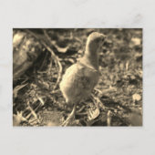 さようなら！- ポストカード (正面)