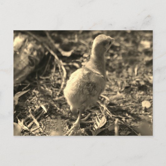 さようなら!- ポストカード (正面)