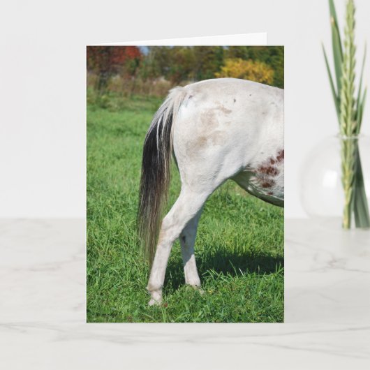 さよなら馬の尻 カード (正面)