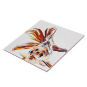 さらさのファンテールの彗星の金魚(フナ タイル (側面)