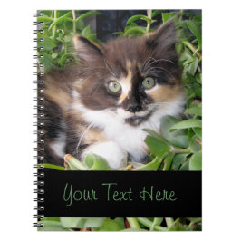 さらさの子ネコのノート ノートブック